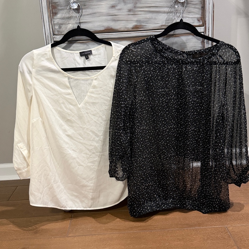 Silky white top!  Silky black top Very versatile.  Dress up or down.